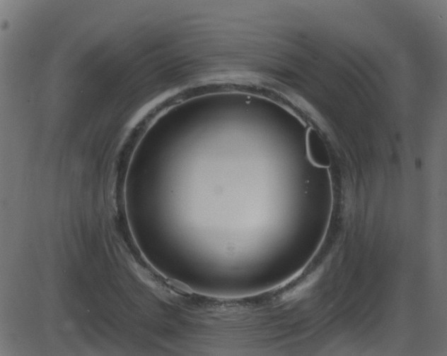 X0000086280830200704051333