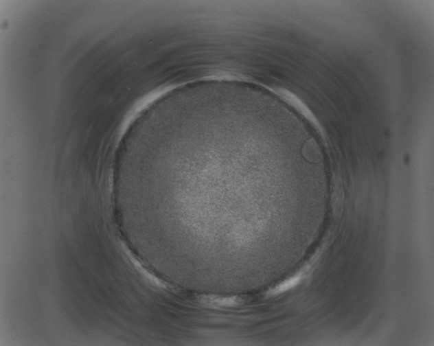 X0000086280831200704051333