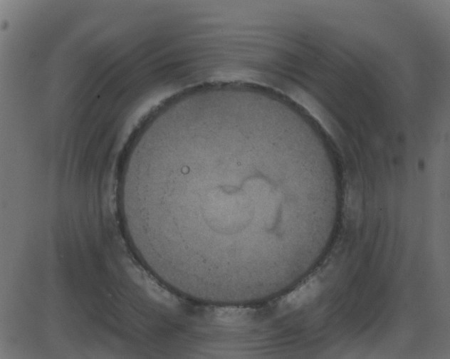 X0000086280832200704051333