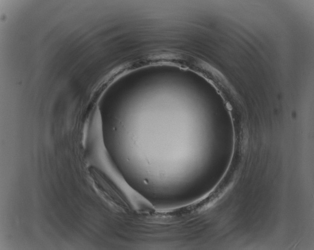 X0000086280833200704051333