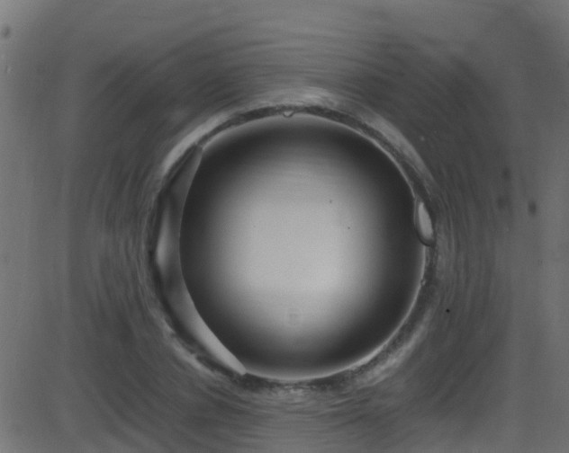 X0000086280834200704051333