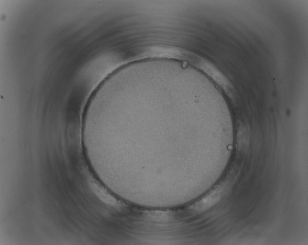 X0000086280836200704051333