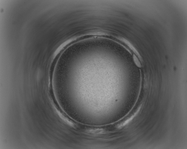 X0000086280837200704051333