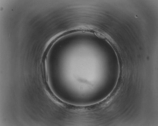 X0000086280838200704051333