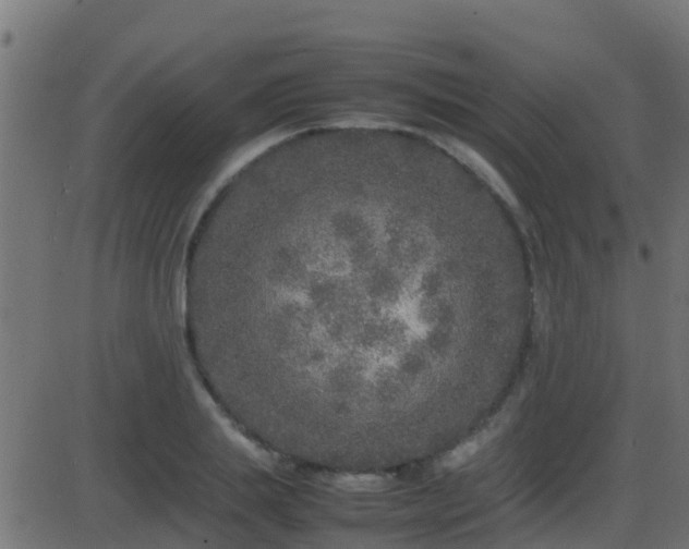 X0000086280839200704051333