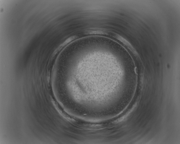 X0000086280841200704051333