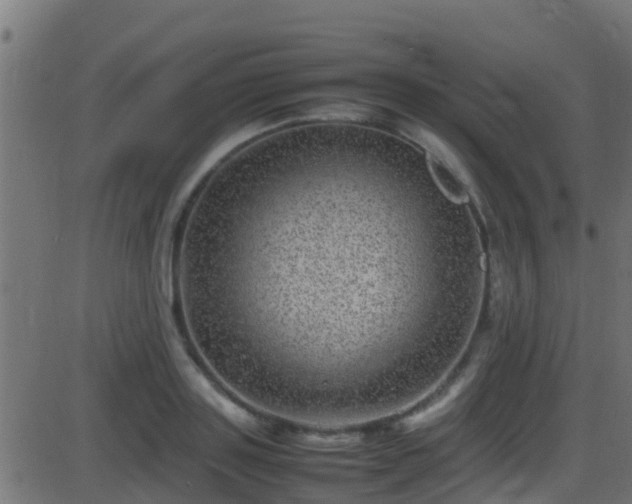 X0000086280843200704051333