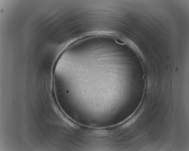 X0000086280844200704051333