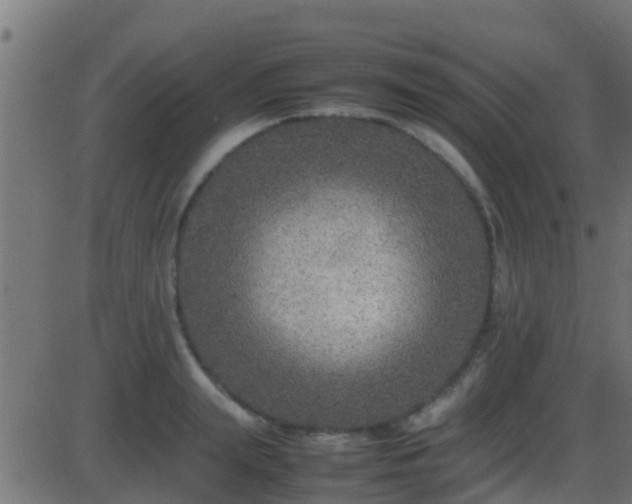 X0000086280847200704051333