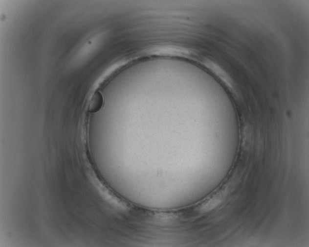 X0000086280848200704051333