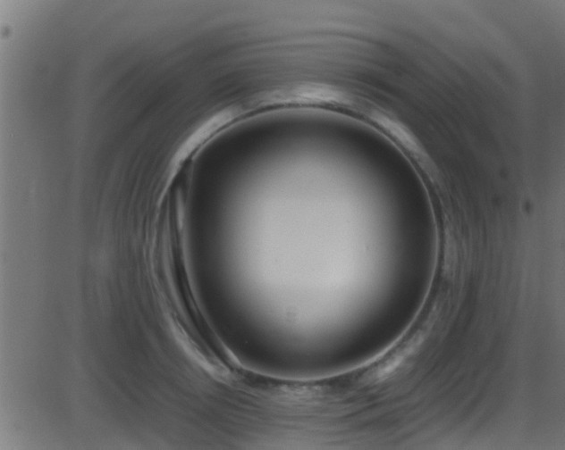 X0000086280850200704051333