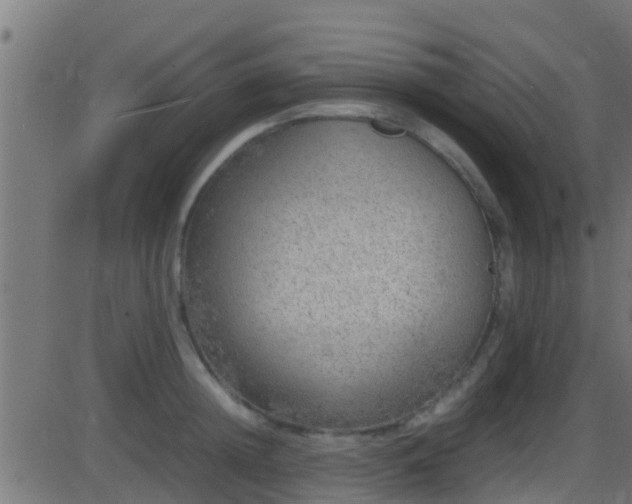 X0000086280852200704051333