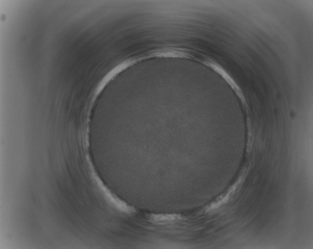 X0000086280853200704051333