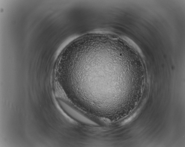 X0000086280855200704051333