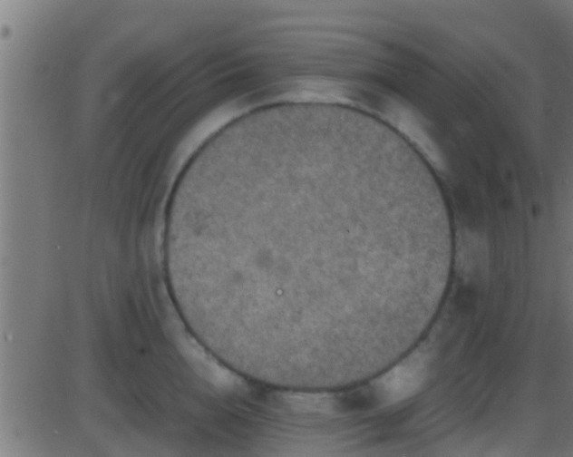 X0000086280856200704051333