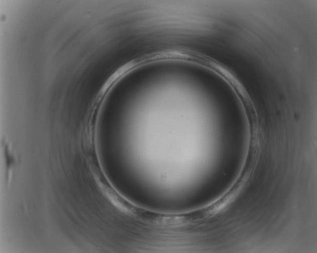 X0000086280858200704051333