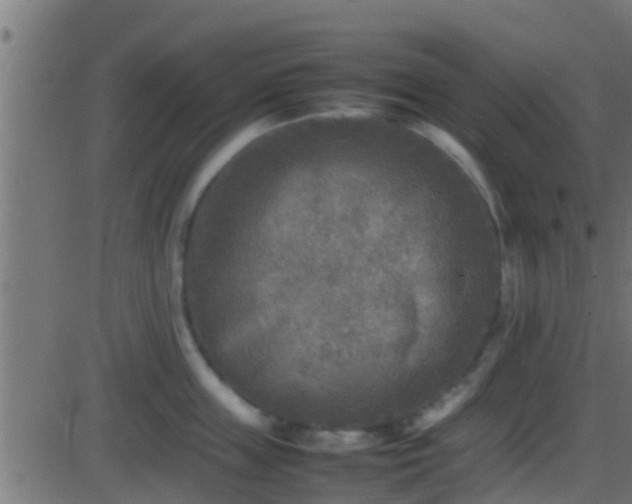 X0000086280859200704051333