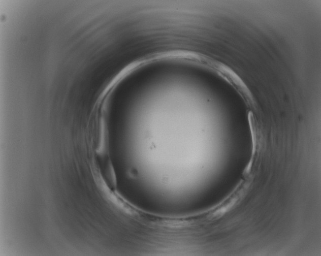 X0000086280860200704051333