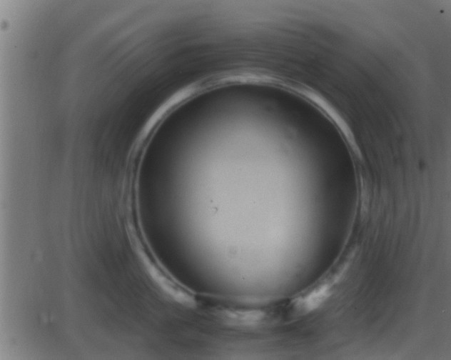 X0000086280861200704051333