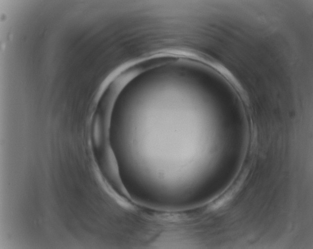 X0000086280862200704051333