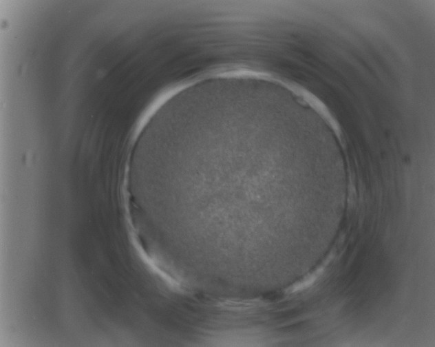 X0000086280863200704051333