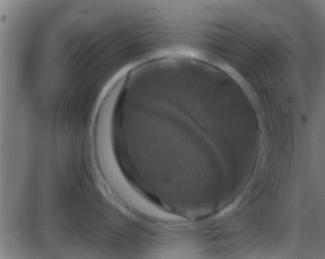 X0000086280864200704051333