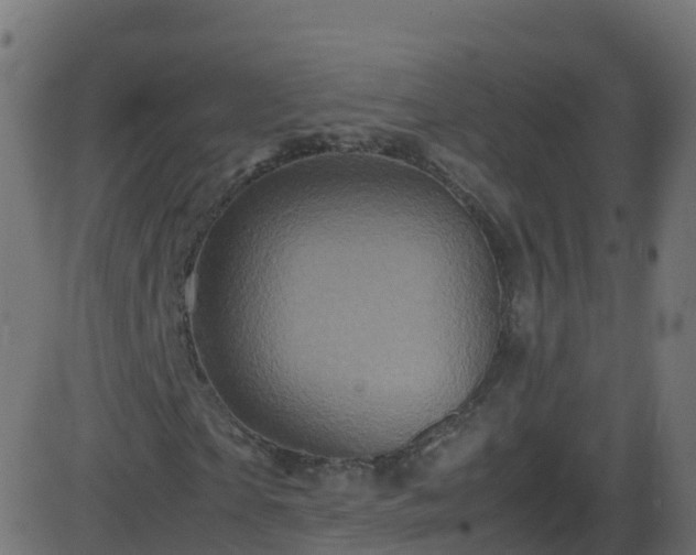 X0000086280865200704051332