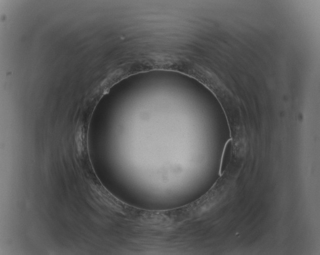 X0000086280866200704051332