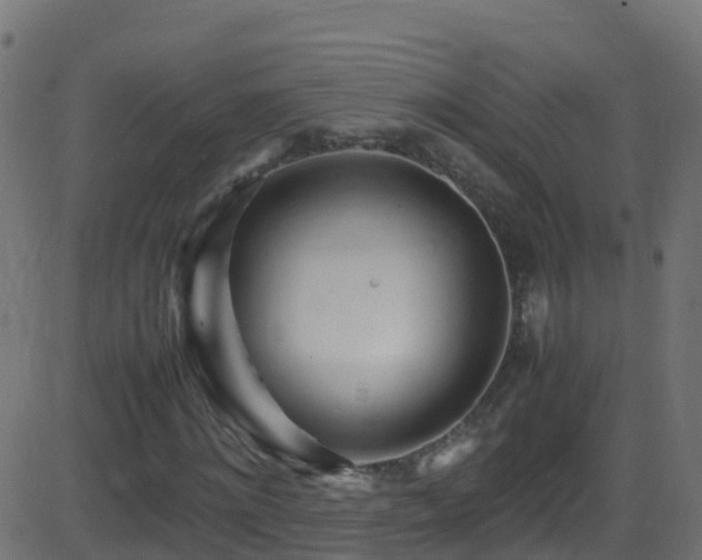 X0000086280868200704051332