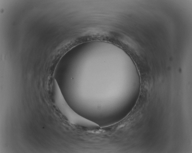 X0000086280869200704051332