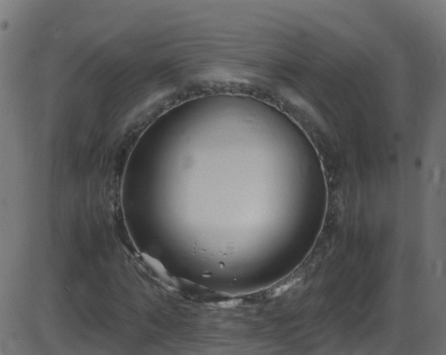 X0000086280870200704051332