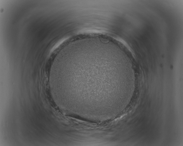 X0000086280871200704051332