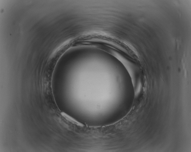 X0000086280872200704051332