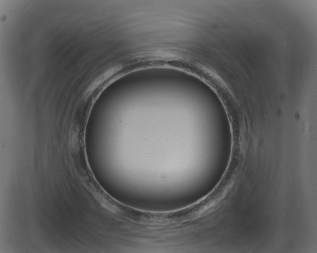 X0000086280873200704051332