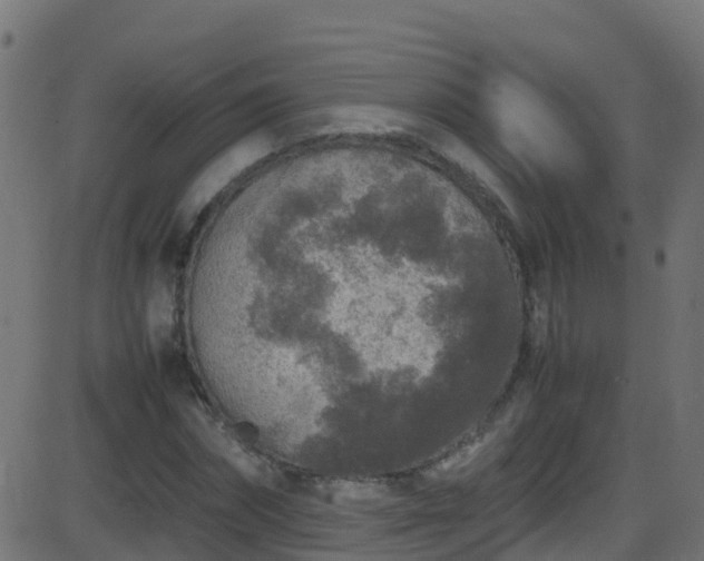 X0000086280874200704051332