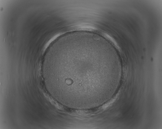 X0000086280875200704051332