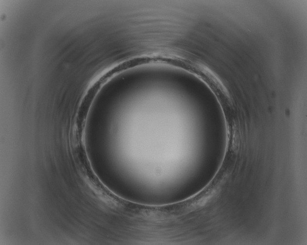 X0000086280876200704051332