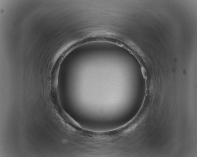 X0000086280877200704051332