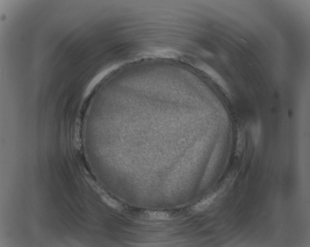 X0000086280878200704051332