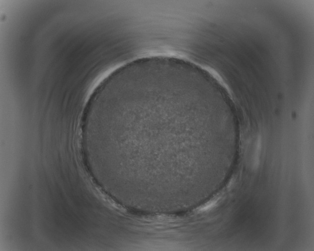 X0000086280879200704051332