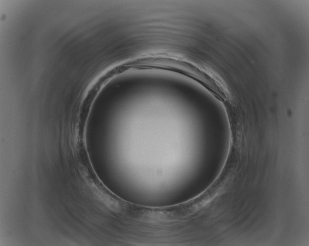 X0000086280880200704051332