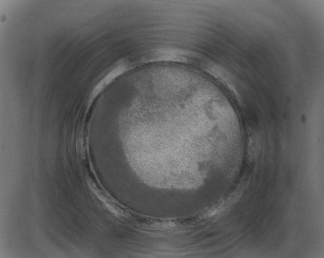 X0000086280882200704051332