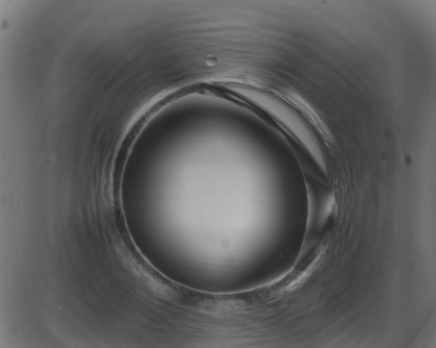 X0000086280884200704051332