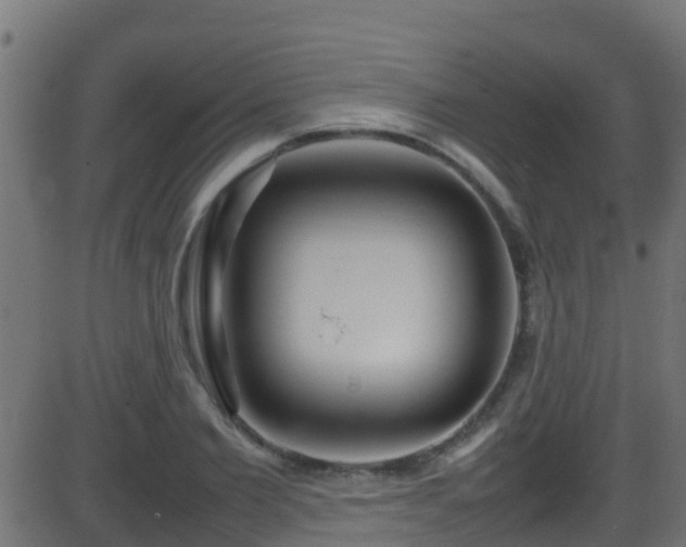 X0000086280885200704051332