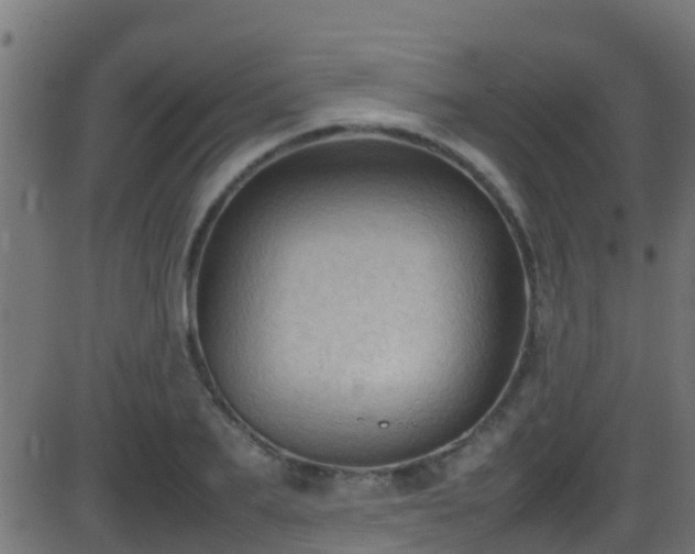 X0000086280887200704051332