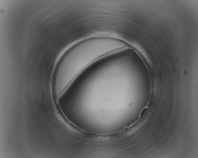 X0000086280888200704051332