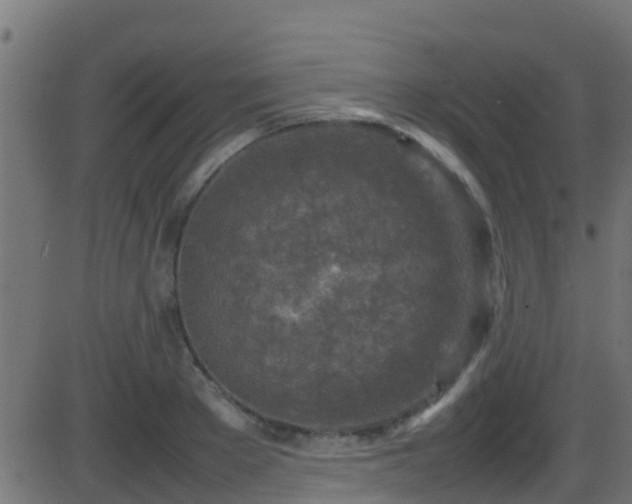 X0000086280889200704051332