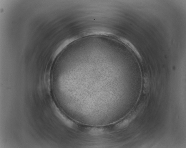 X0000086280890200704051332