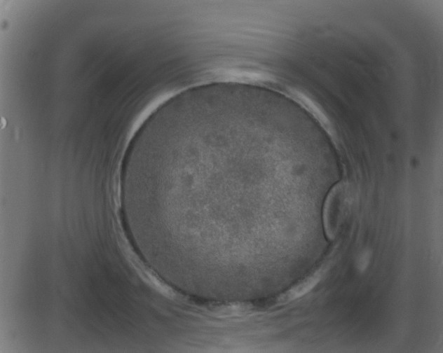 X0000086280891200704051332