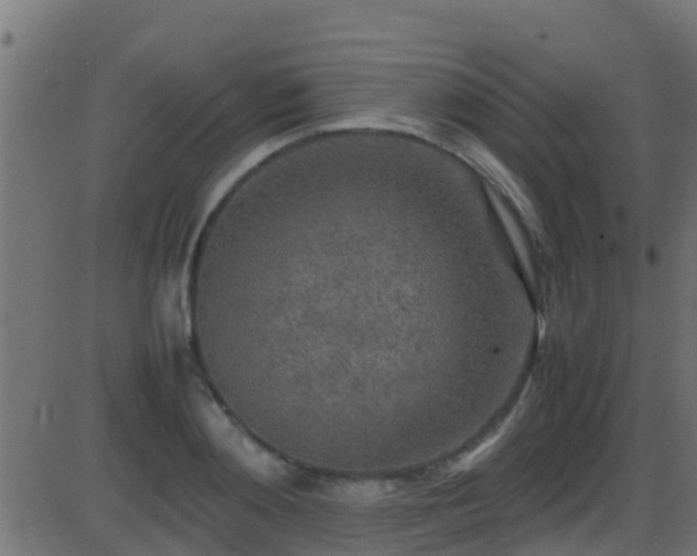 X0000086280892200704051332